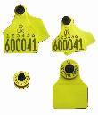 Allflex Ultra Range of Cattle Tags